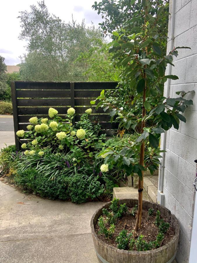Garden Studio Apartman Havelock North Kültér fotó
