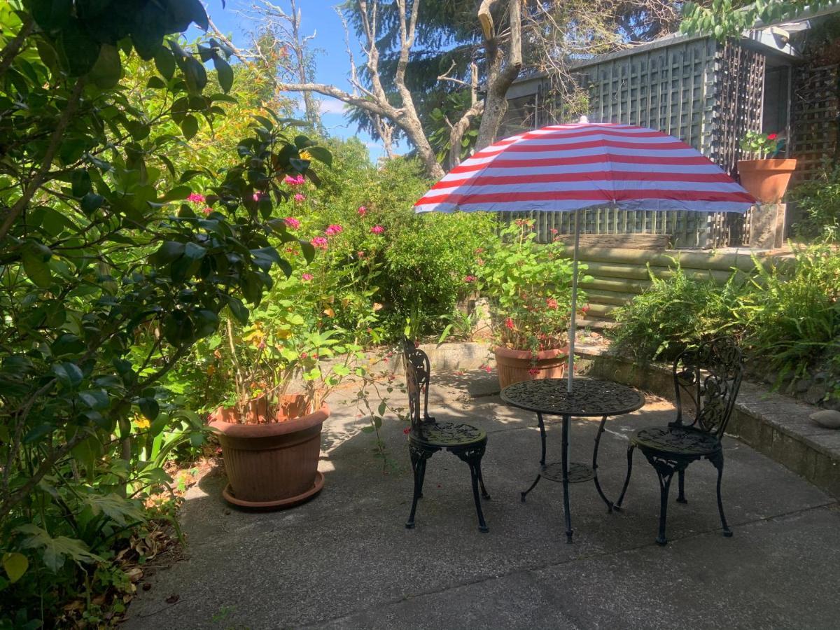 Garden Studio Apartman Havelock North Kültér fotó